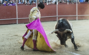 20170911-corrida de toros_0.JPG