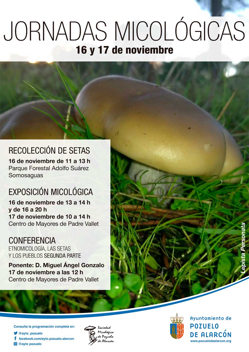 Cartel Jornadas Micológicas