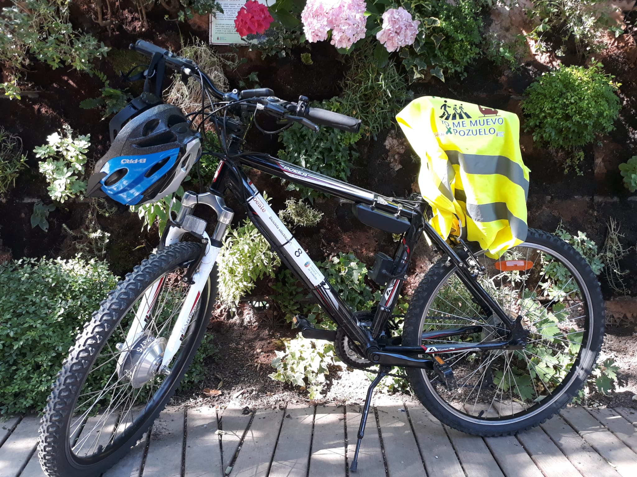 Bicicleta