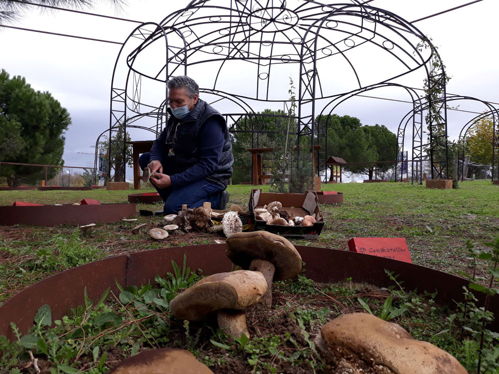 Jardín micológico del Aula de Educación Ambiental