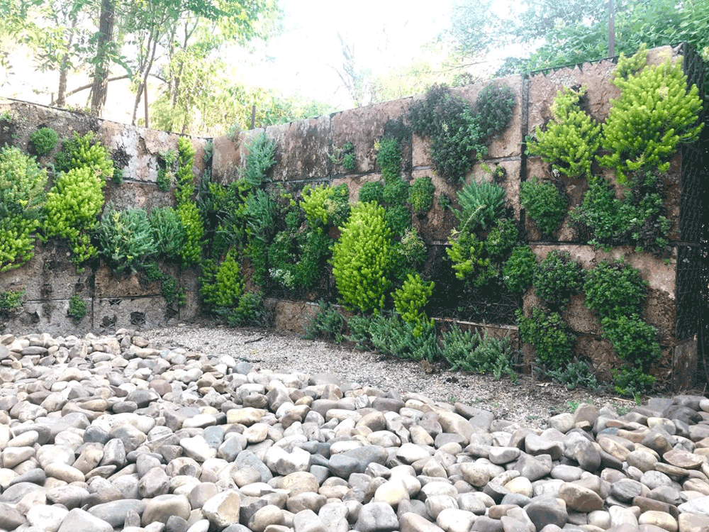 Jardines verticales