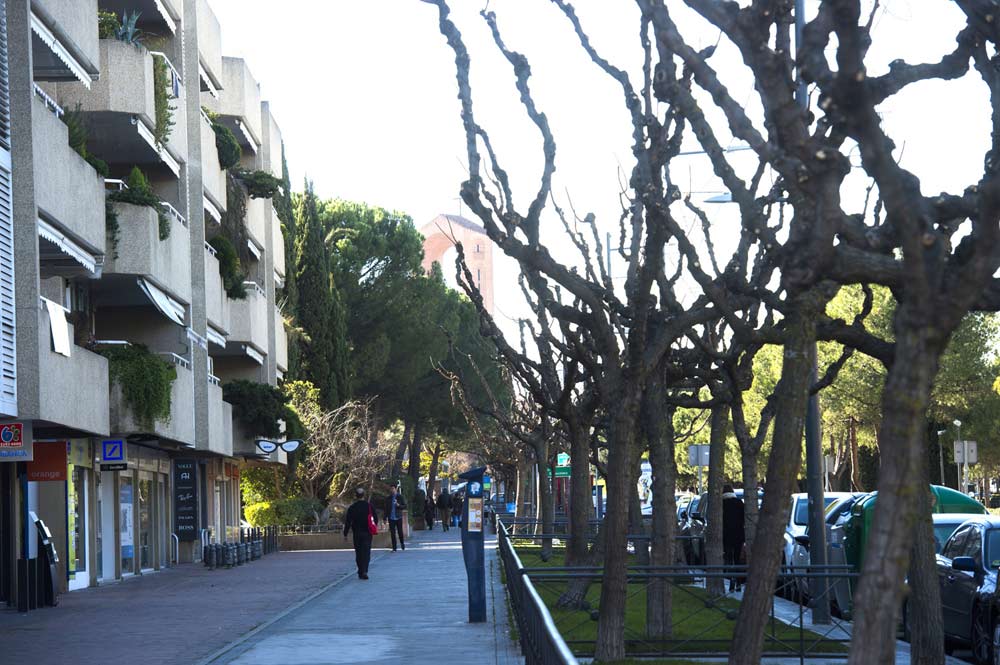Pozuelo de Alarcón