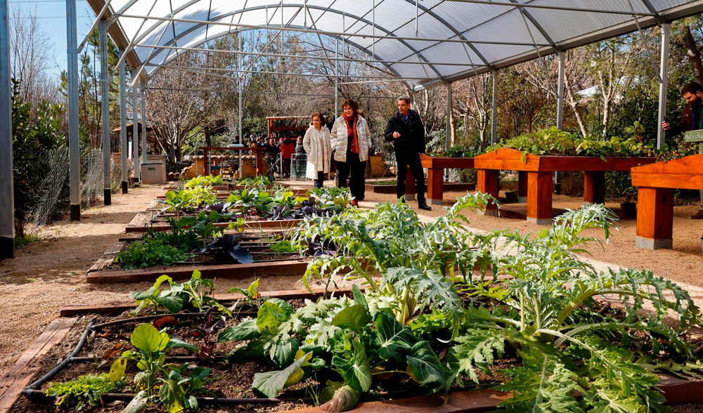Visita invernaderos Aula