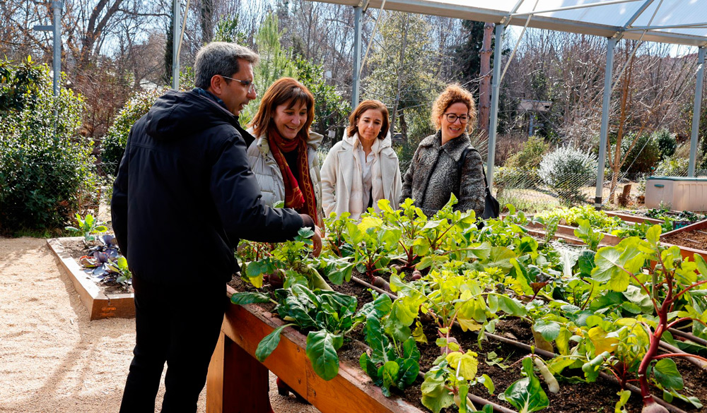 Visita invernaderos Aula
