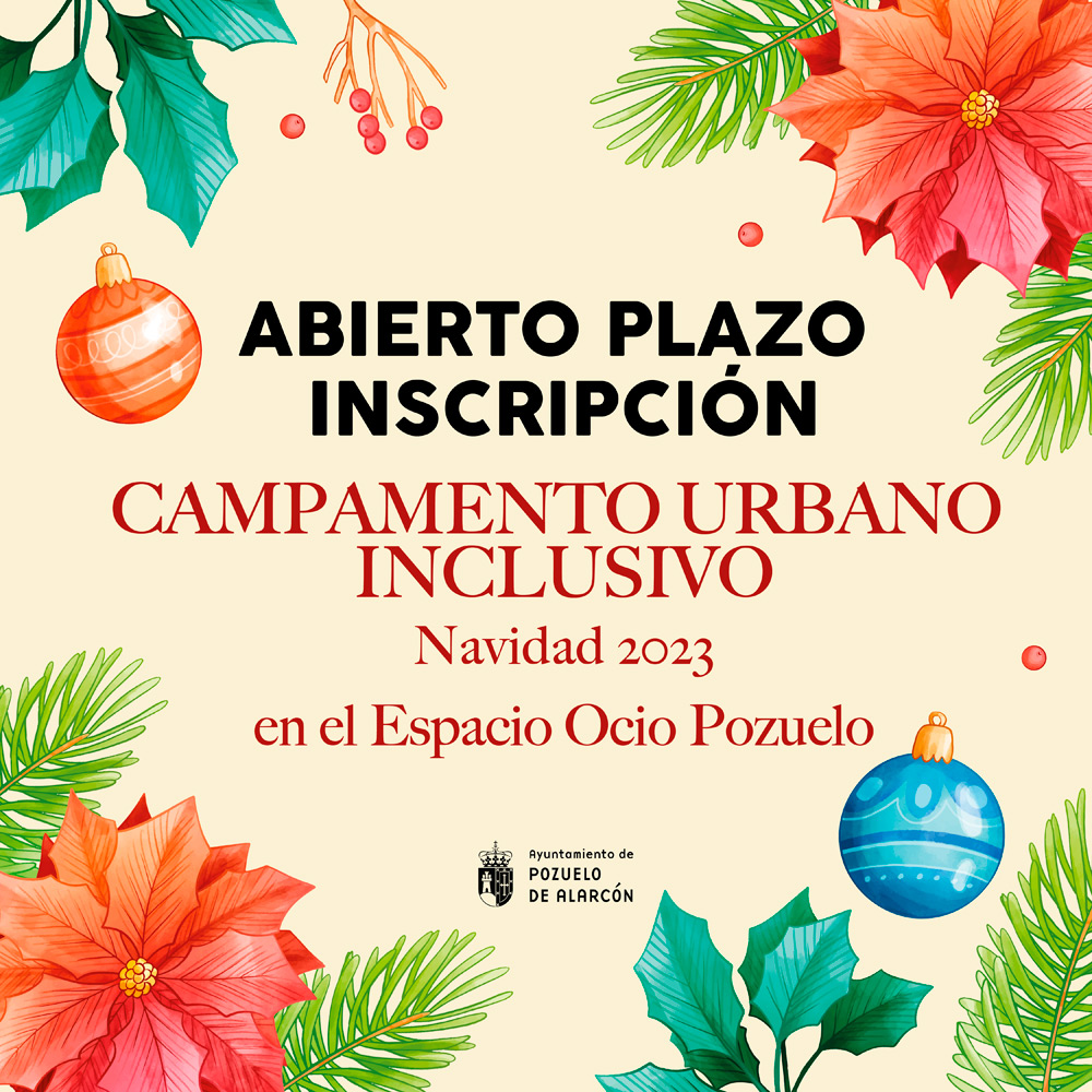 Campamento inclusivo de navidad 2023