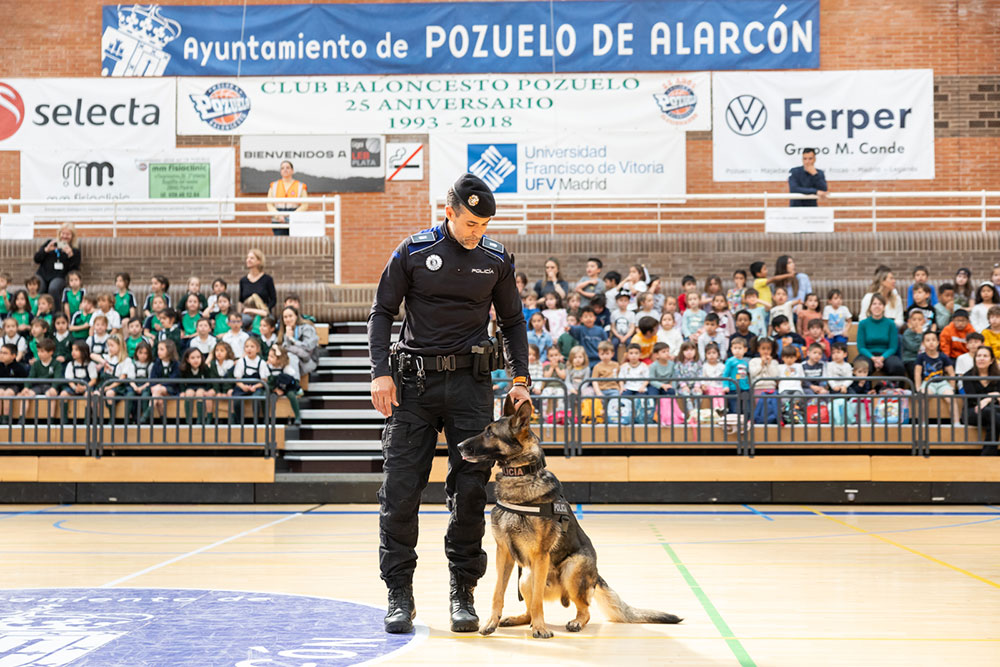 Exhibición unidades caninas policiales