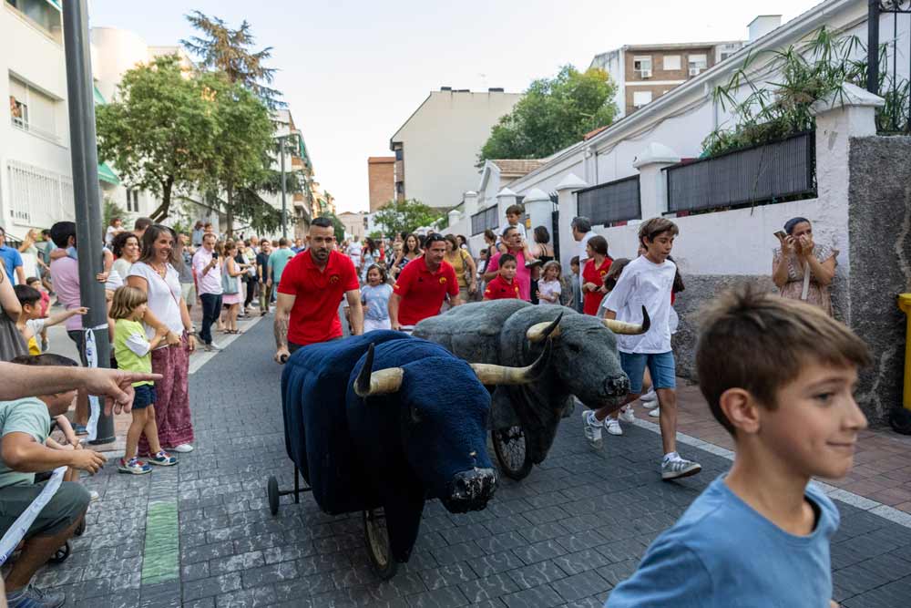 Fiestas en honor a Nuestra Señora del Carmen de Pozuelo