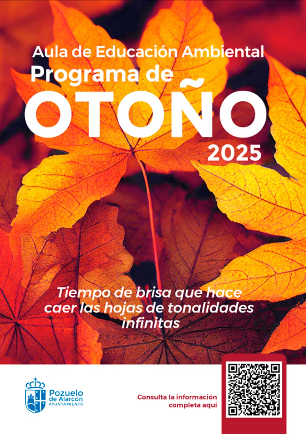 Programa de Otoño