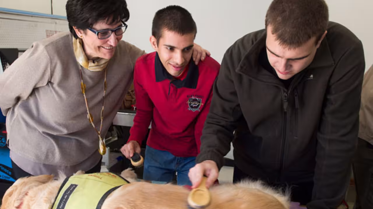 taller de intervención asistida con perros (Se abre en ventana nueva)