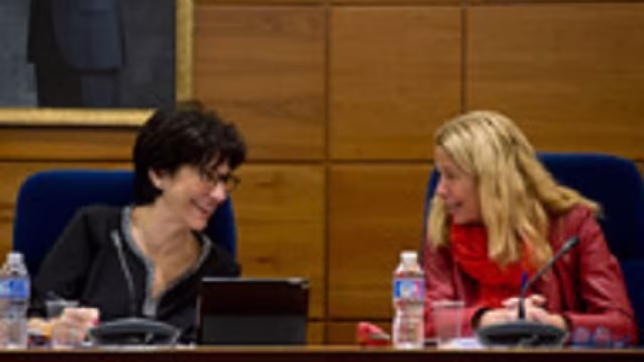 Sesión plenaria del mes de diciembre de 2016 (Se abre en ventana nueva)