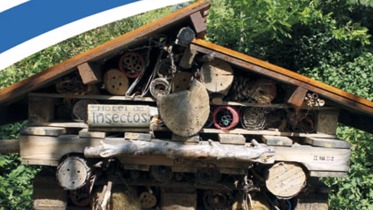 Imagen Hotel de insectos. Observatorio de la biodiversidad.