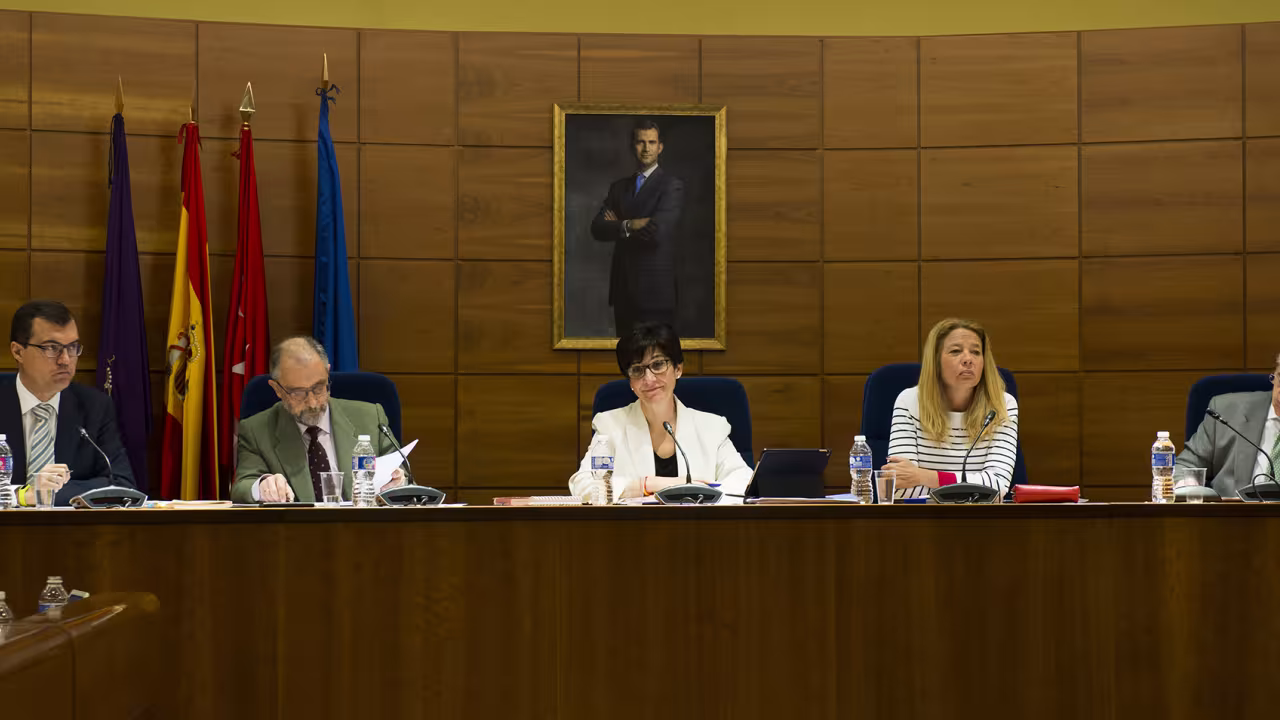 Imagen del pleno del 16 de marzo de 2017