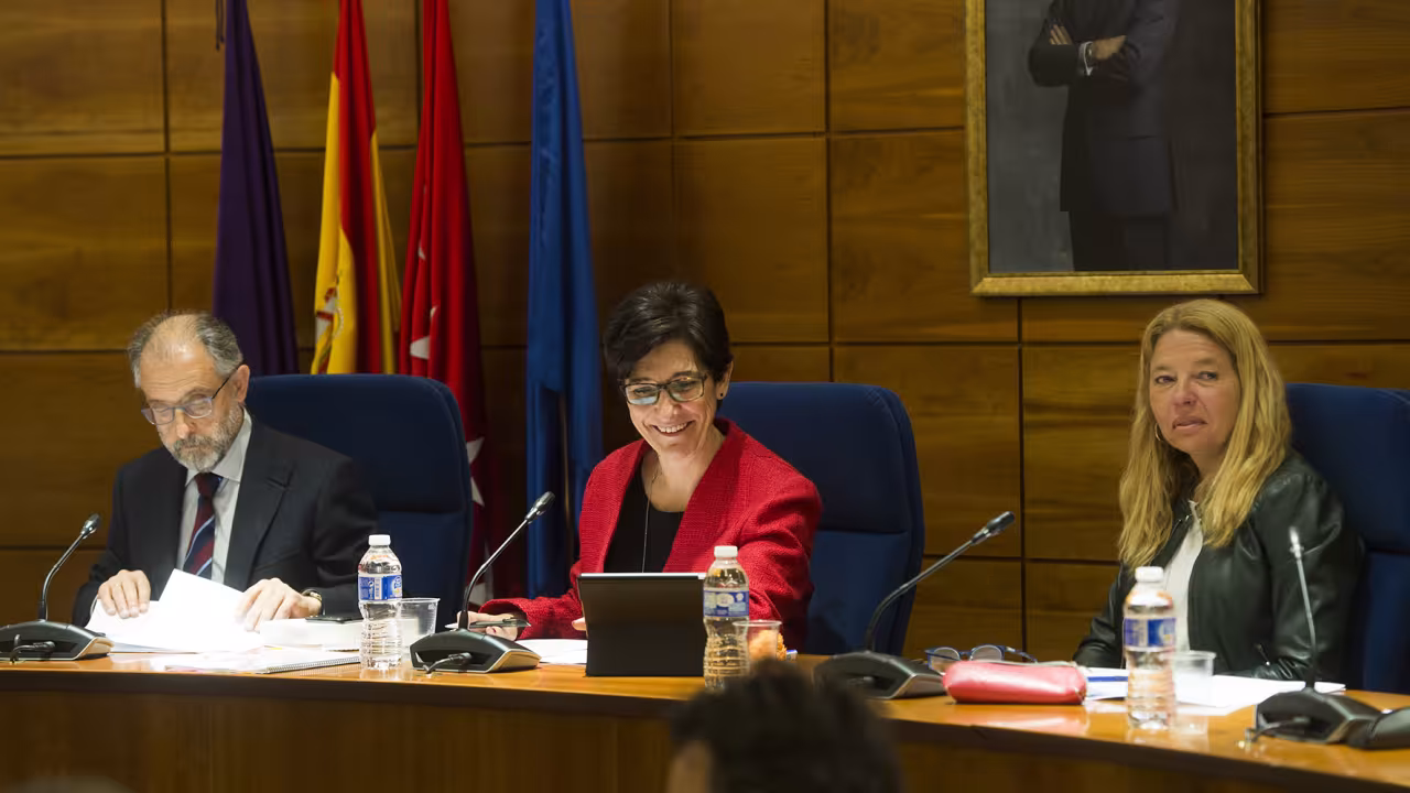 Sesión plenaria del 20 de abril de 2017