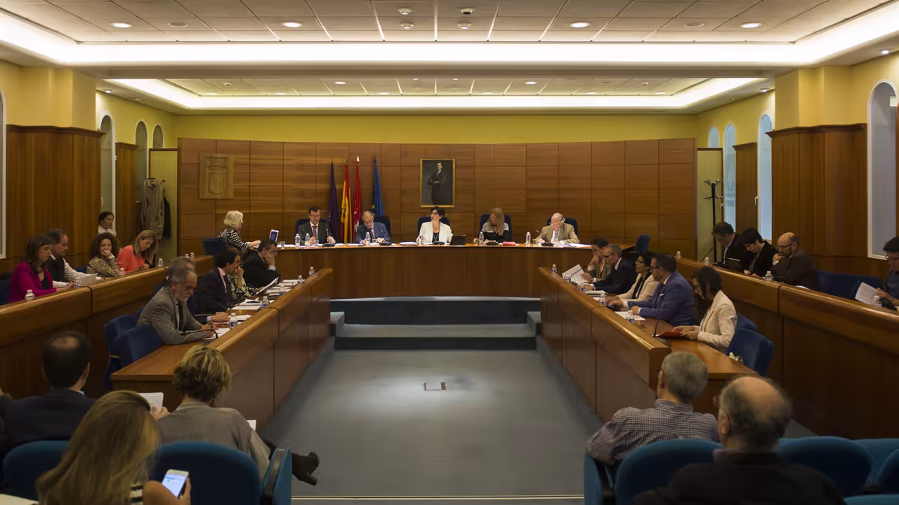Pleno del Ayuntamiento de Pozuelo de Alarcón del mes de mayo de 2017