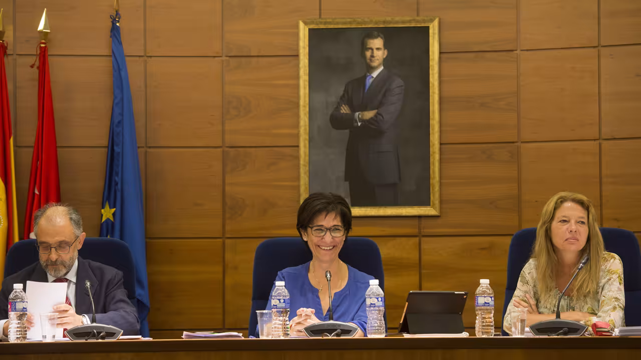 Sesión plenaria del mes de junio