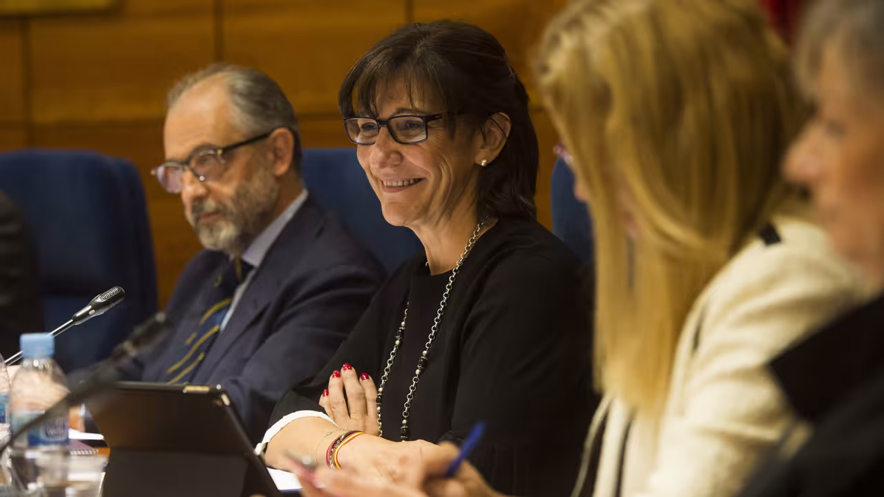 Sesión plenaria del mes de septiembre de 2017