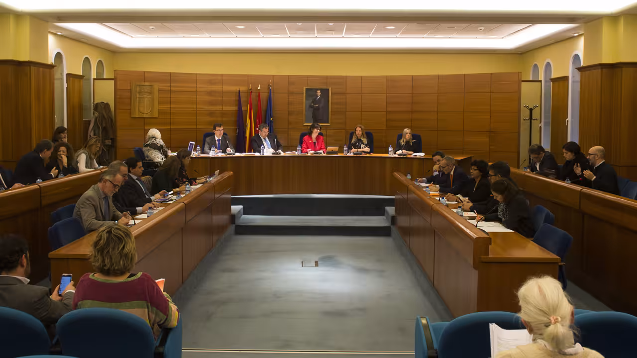 Imagen del pleno de diciembre