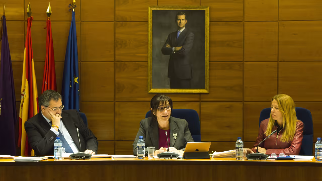 Sesión plenaria del mes de enero