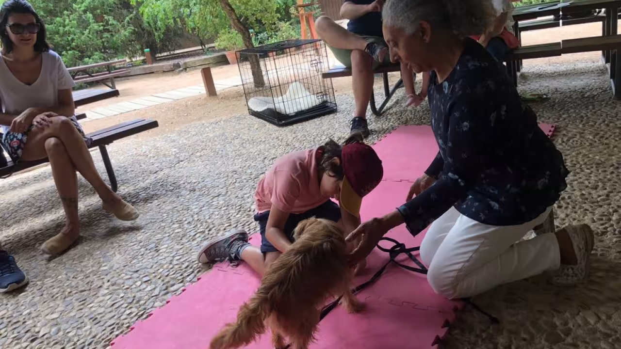 Primavera en el aula