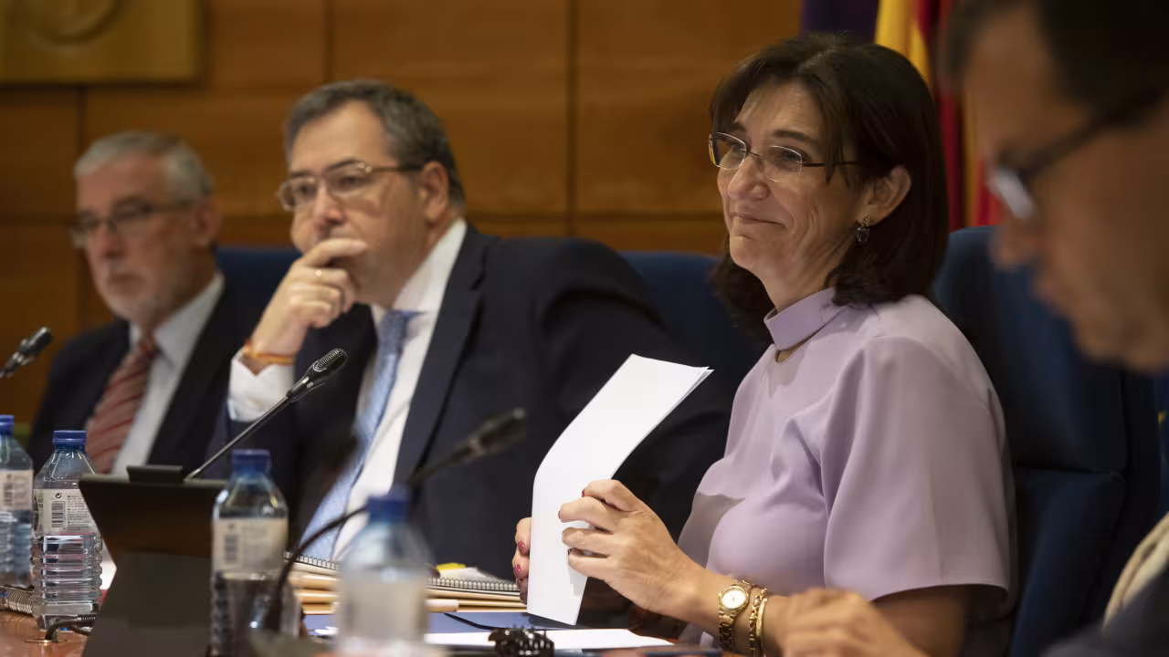 Sesión pleno de julio