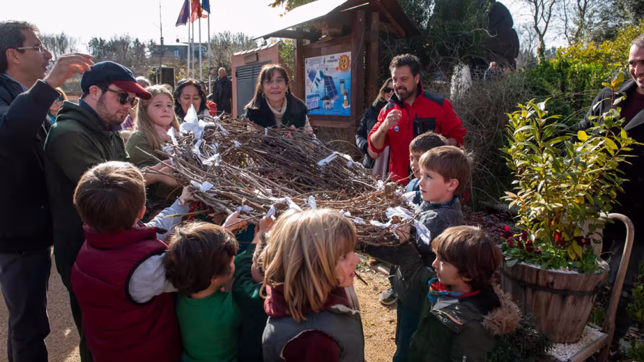 Construcción de nido de cigüeñas en el Aula de Eduación Ambiental