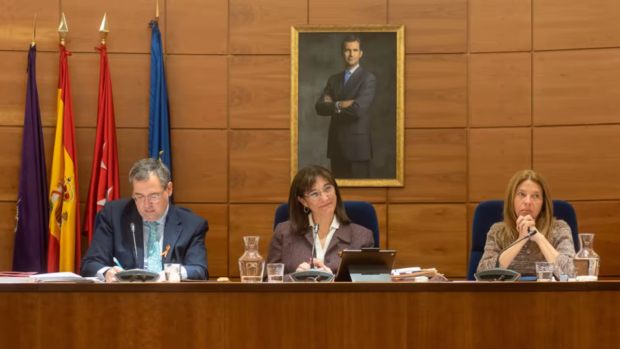 Pleno del mes de febrero de 2019