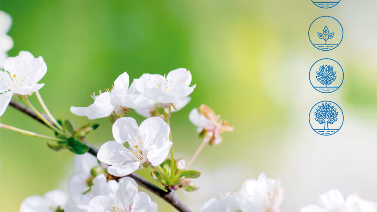 Cartel Día Mundial del Medio Ambiente