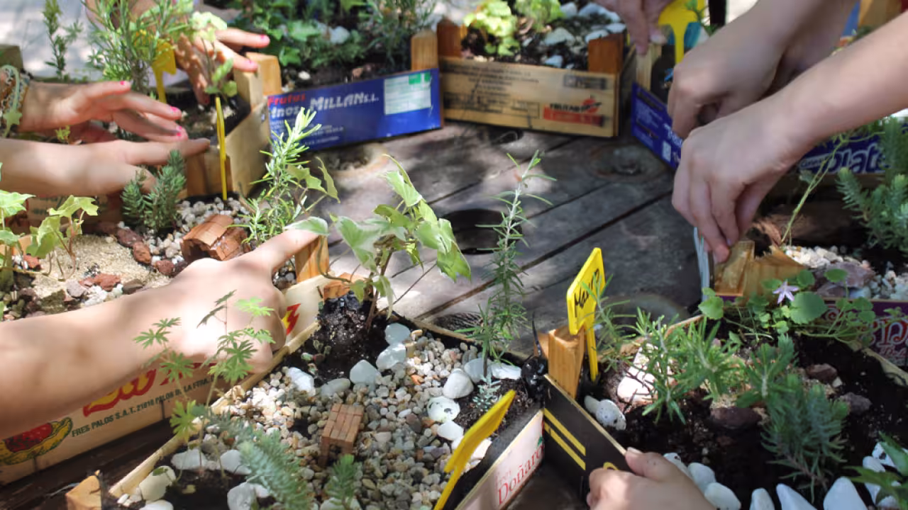 Aula de Educación Ambiental