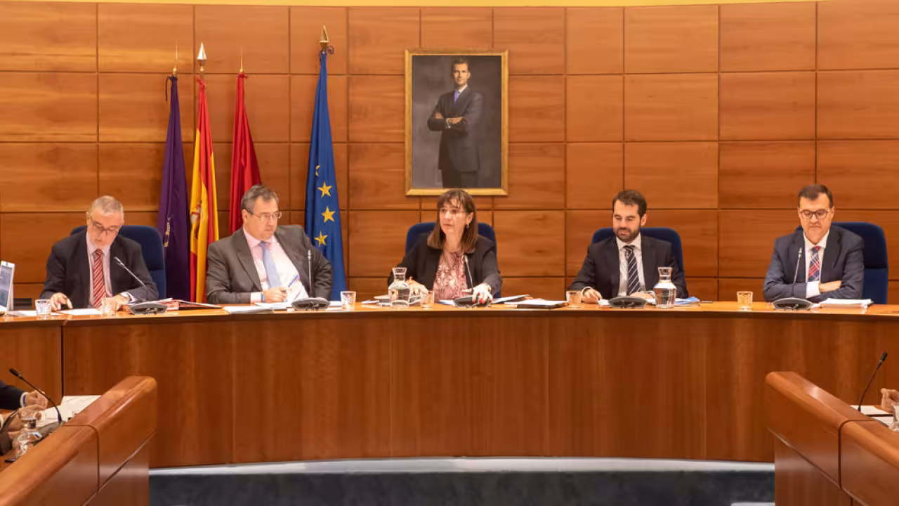 Sesión plenaria noviembre 2019