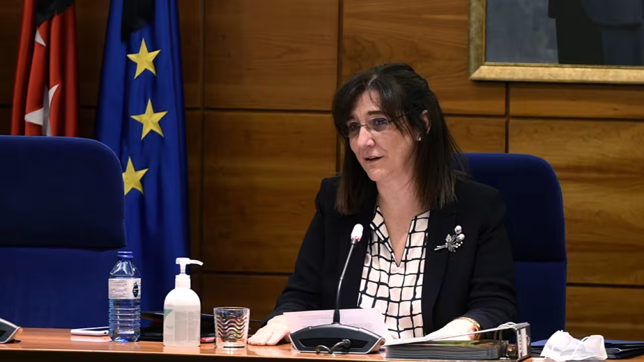 Pleno extraordinario abril 2020