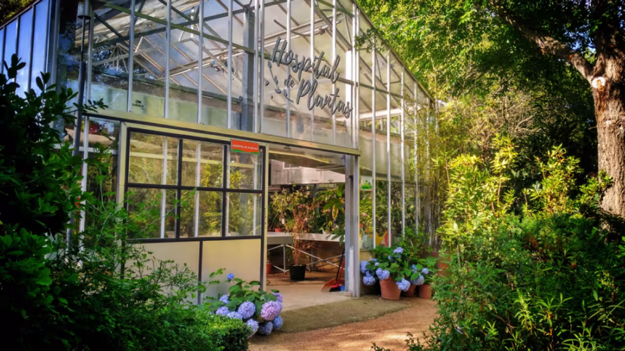 exterior del hospital de plantas