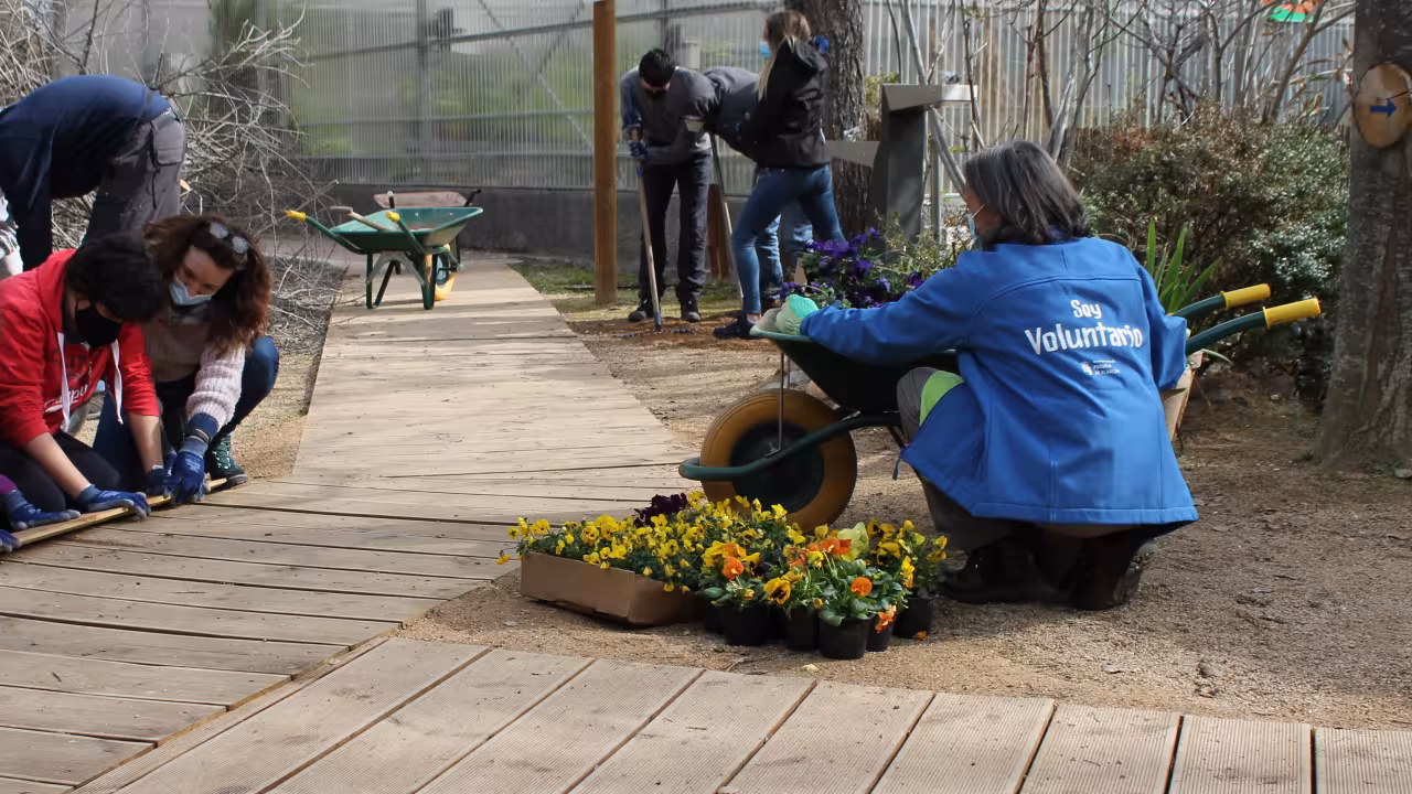 VOLUNTARIOS EN EL AULA