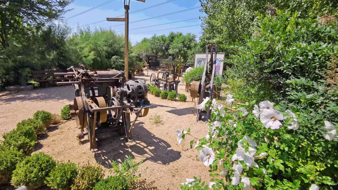 El jardín de los orígenes