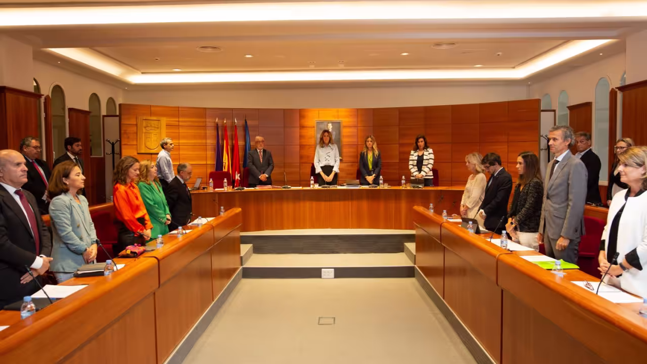 pleno pozuelo