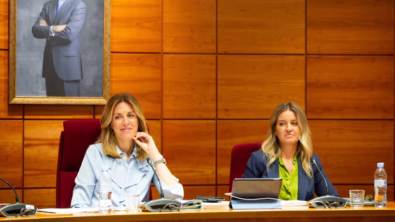 Un momento del Pleno