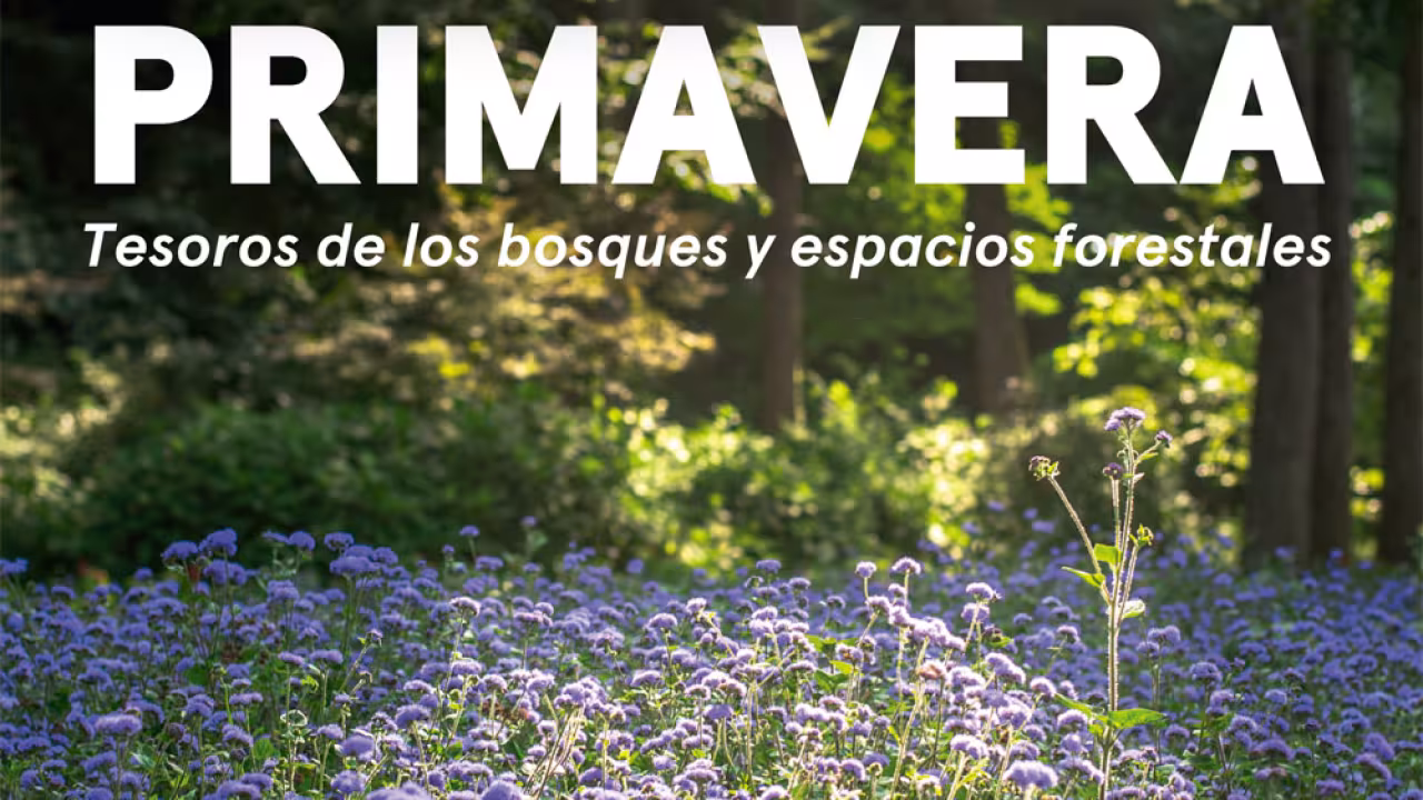 Programa de primavera del Aula de Educación Ambiental