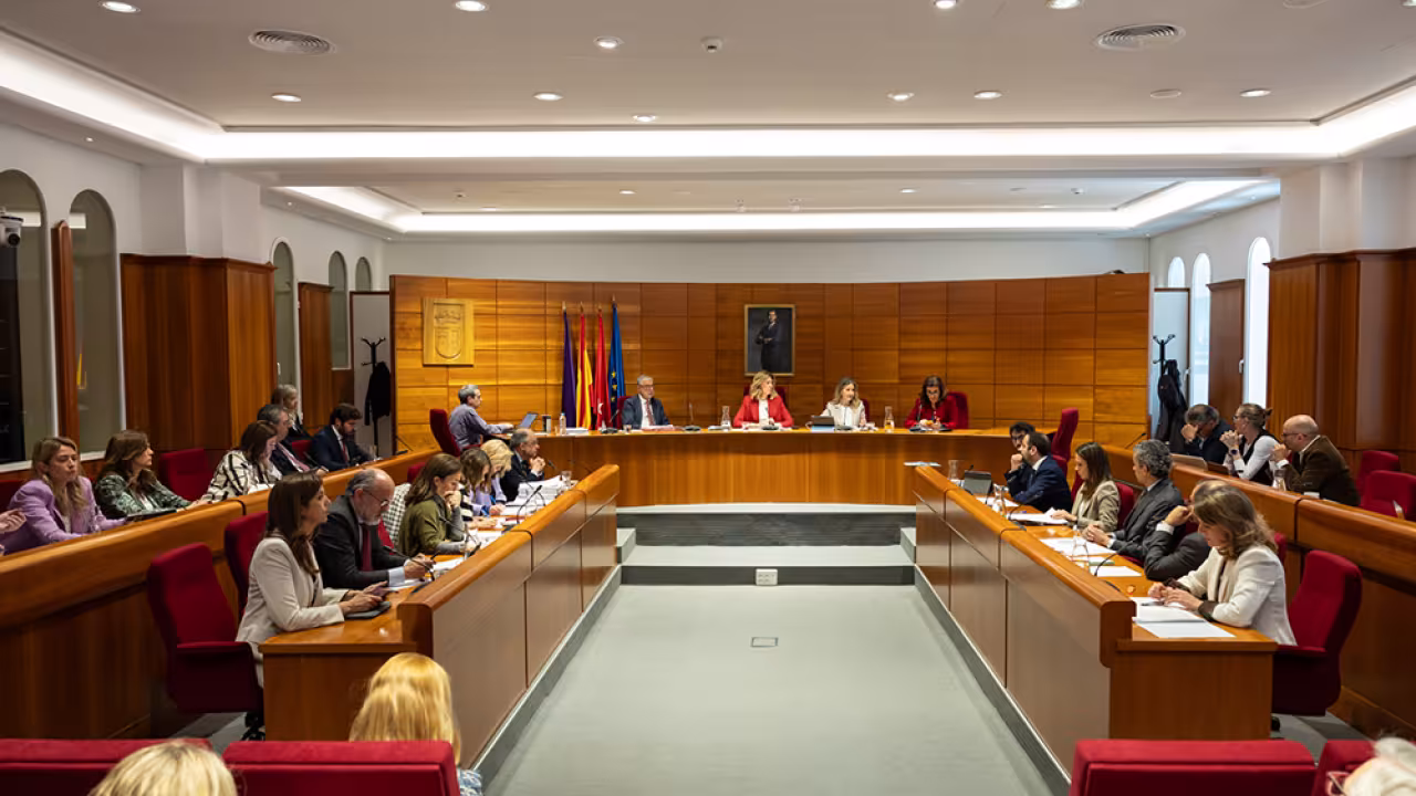 Pleno de marzo de 2024