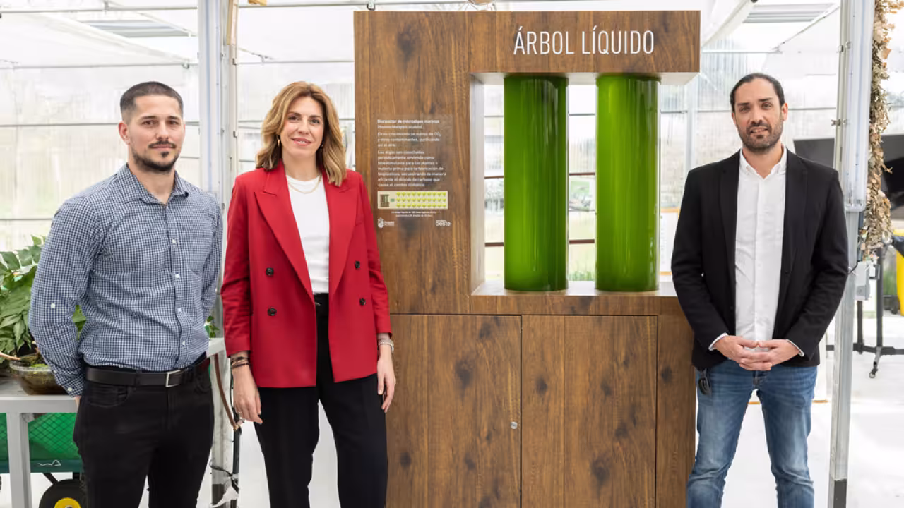 Presentación árbol líquido