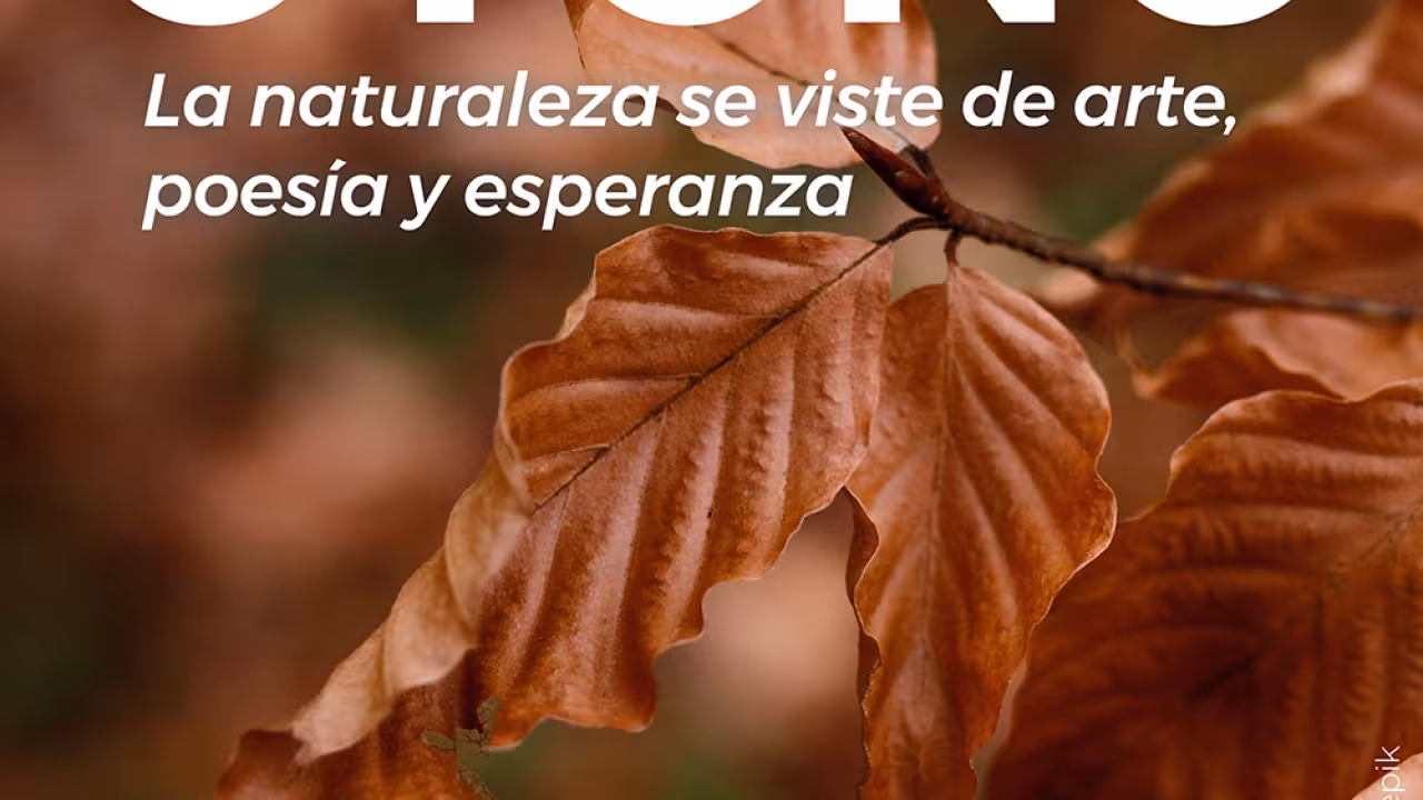 Cartel Otoño en el Aula de Educación Ambiental