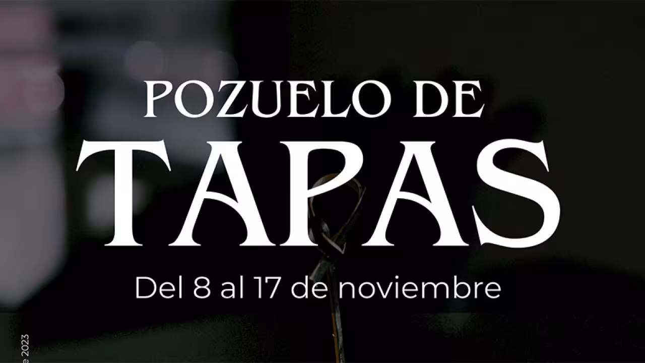 Cartel pozuelo de tapas noviembre 2024