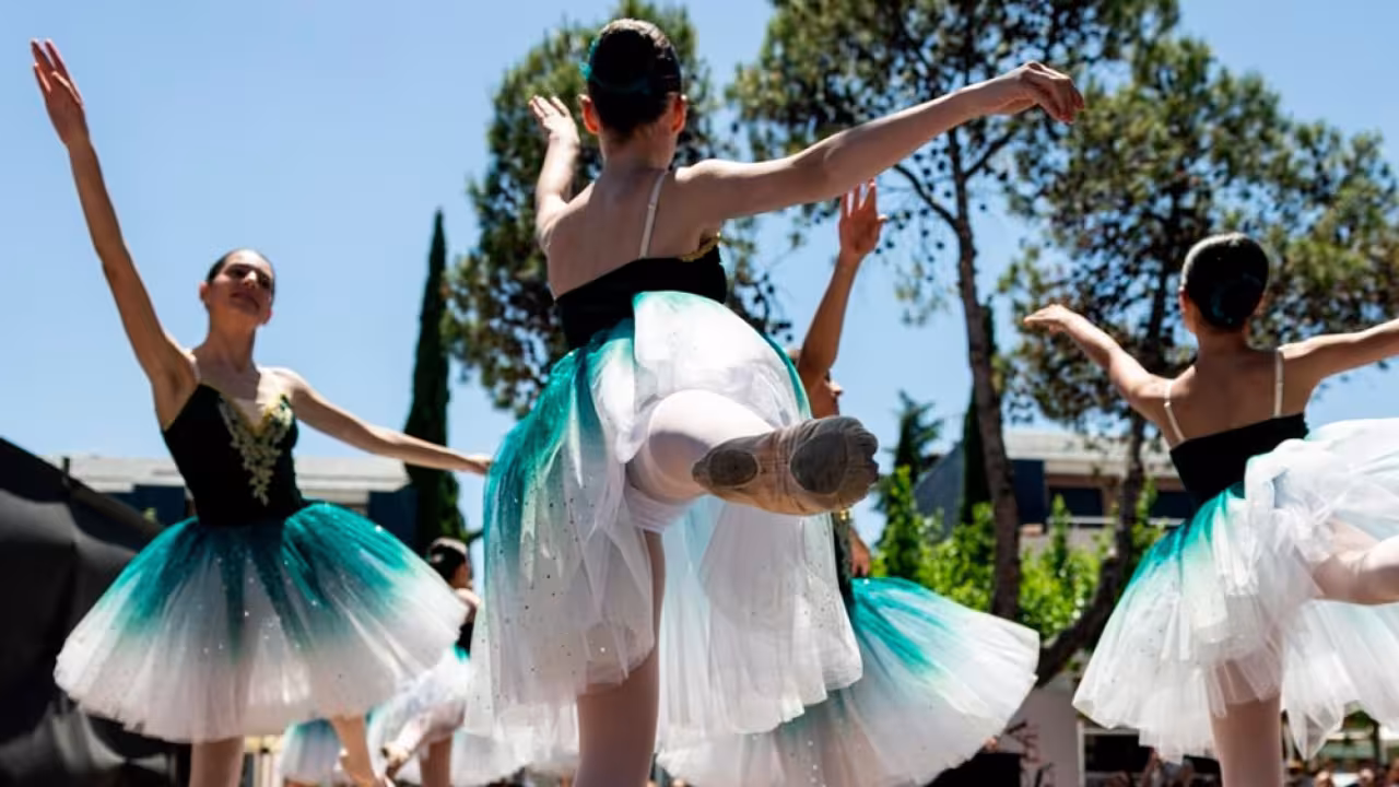 Cartel Día de la Danza