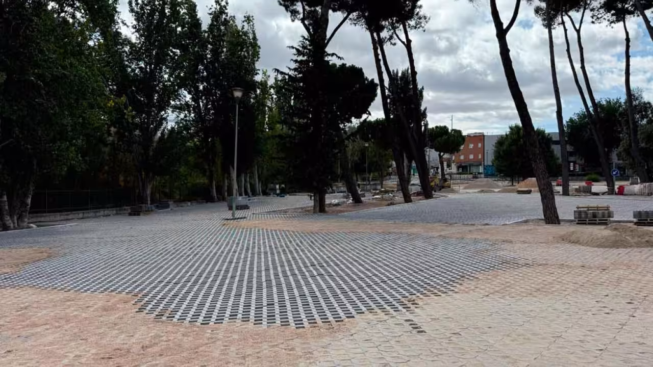 Prados de Torrejón calzada