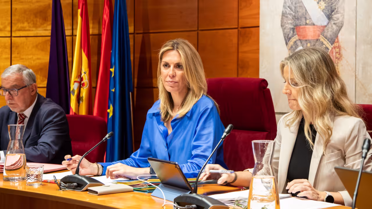 Celebración plenaria del jueves 18 de septiembre de 2025