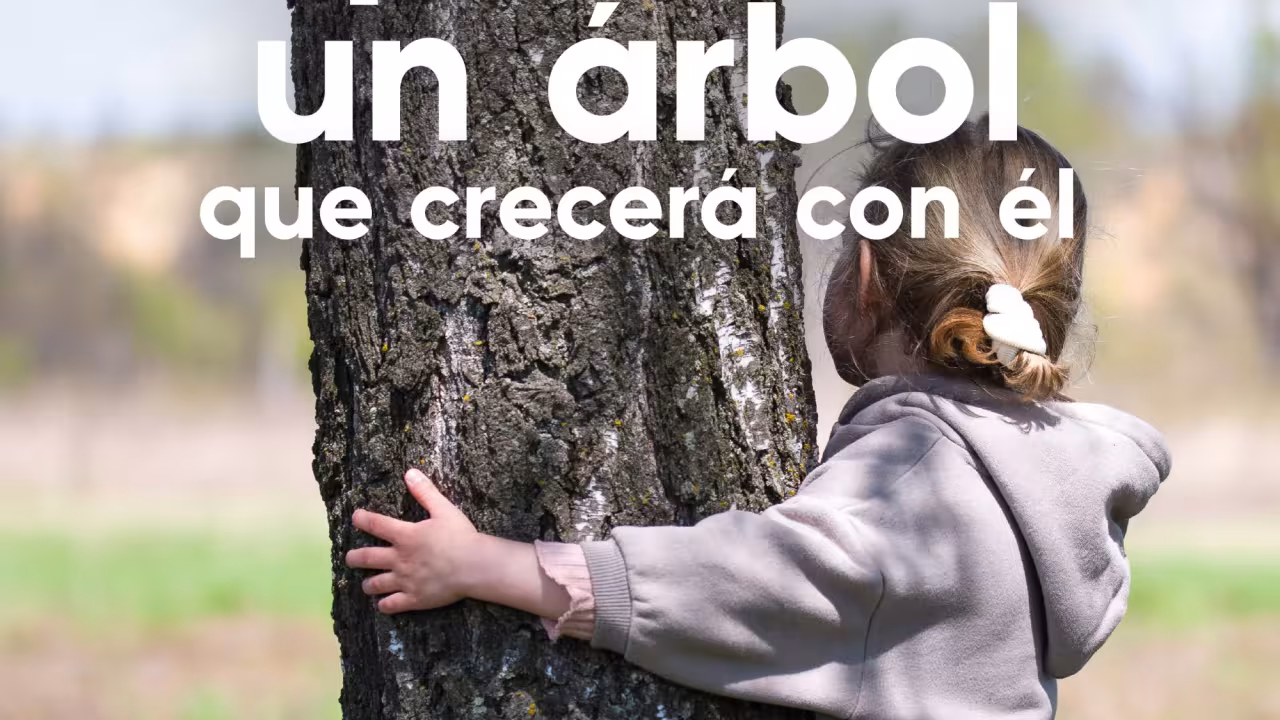Apadrina un arbol