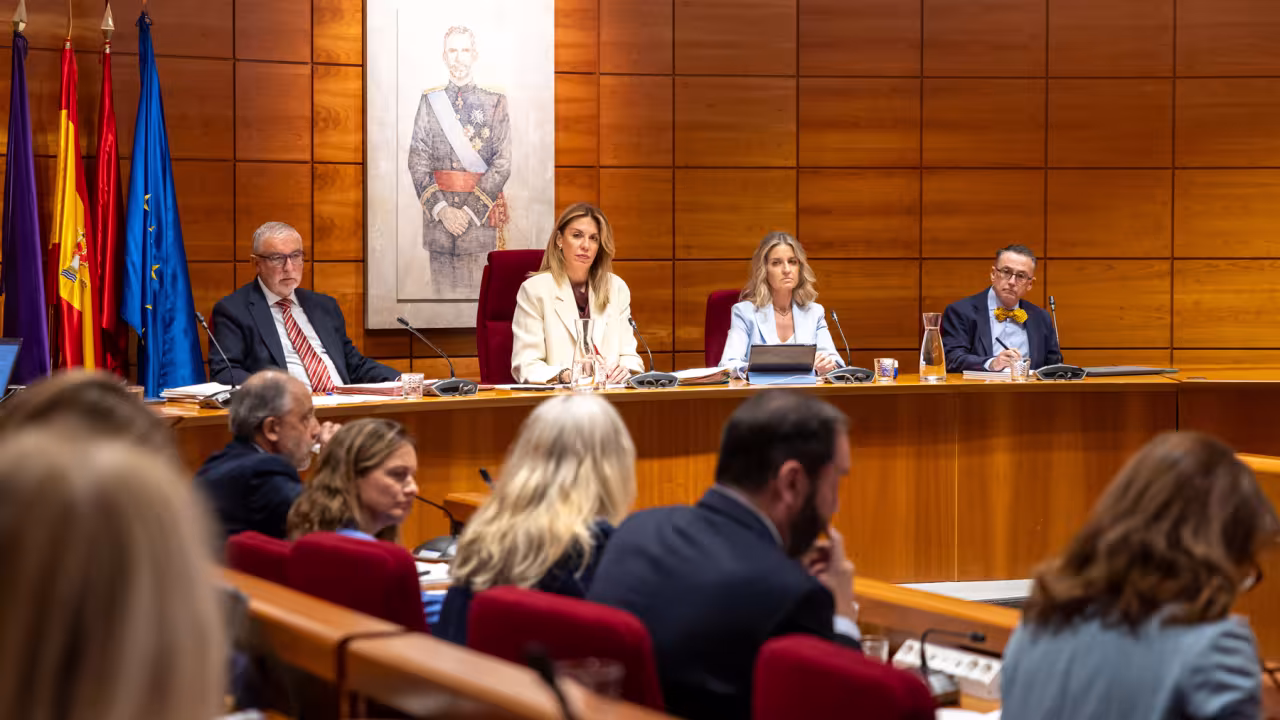 Sesión plenaria de octubre de 2025