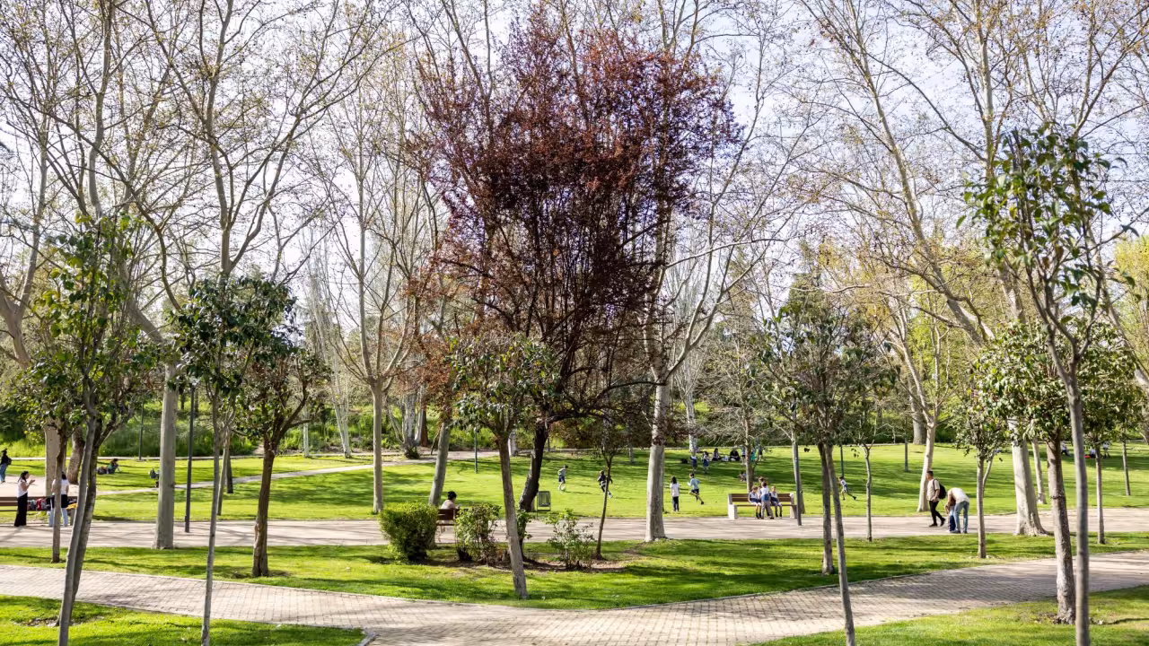 Parque de pozuelo